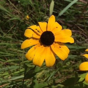 Meet your Posher, Brooklyn