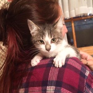 Meet your Posher, Lily