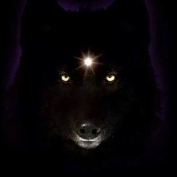 Meet your Posher, James - Picture 1 of 1