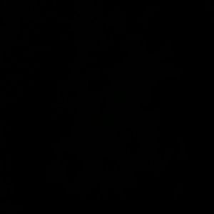 Meet your Posher, Ferol