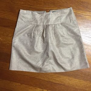J. Crew skirt