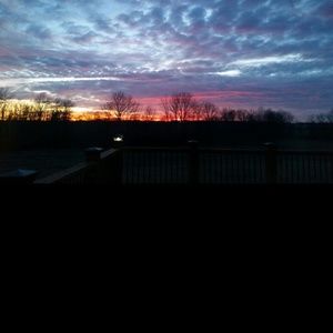 Meet your Posher, Patty