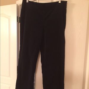 Talbots velvet feel side zip pants