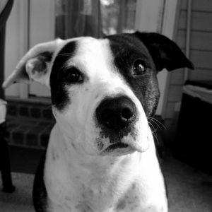 Meet your Posher, Teagan