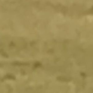 Meet your Posher, Karley