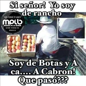 Meet your Posher, Juan