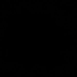 Meet your Posher, Luis