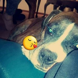 Meet your Posher, Florence