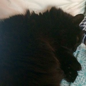 Meet your Posher, Colleen