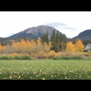 Meet your Posher, Breana