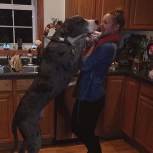 Meet your Posher, Carley