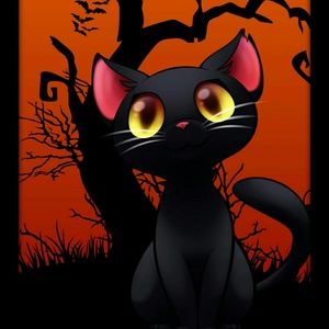 Meet your Posher, Dorothy