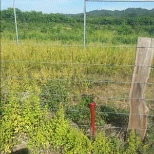 Meet your Posher, Ramon