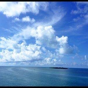 Meet your Posher, Autum