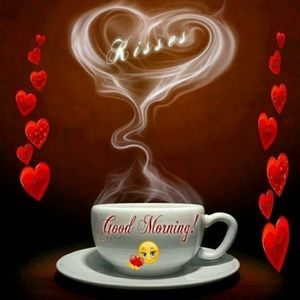 Meet your Posher, Krystal