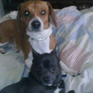 Meet your Posher, Anna