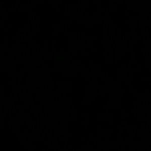 Meet your Posher, Allie