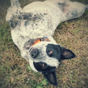 Meet your Posher, Michelle