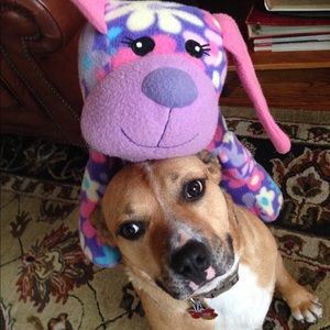 Meet your Posher, Mallory