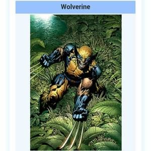 Meet your Posher, Akram