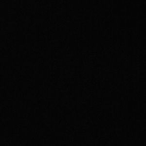 Meet your Posher, Tova