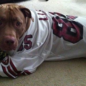 Meet your Posher, Richard