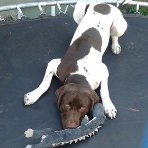 Meet your Posher, Kristy