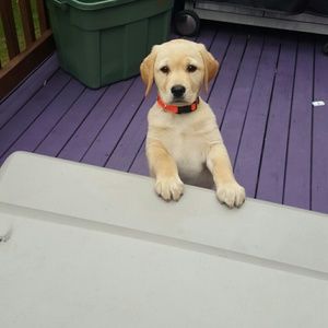 Meet your Posher, Katey