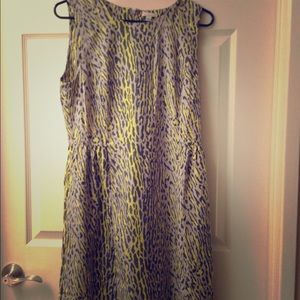 Gap cheetah print dress