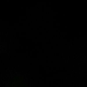 Meet your Posher, Pam