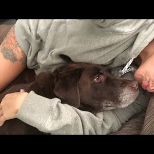 Meet your Posher, Lisa