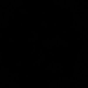 Meet your Posher, Tiana