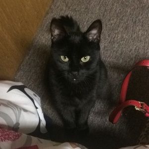 Meet your Posher, Carly