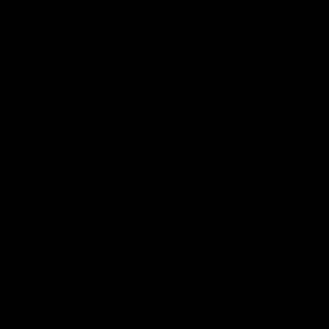 Meet your Posher, Rochelle