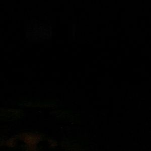 Meet your Posher, Adrian