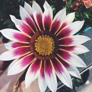 Meet your Posher, Mariah