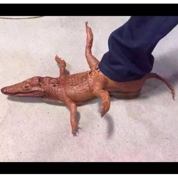 Meet your Posher, Taylor! - Picture 4 of 4