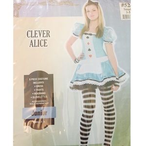 💥sale💥Alice in Wonderland costume