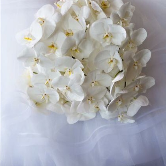 Meet your Posher, Vicky