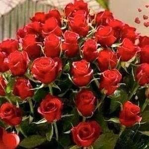 Meet your Posher, Loving angel