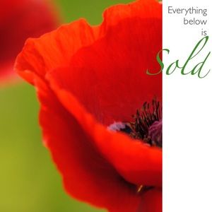 Everything below this image has already sold.