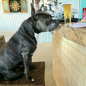 Meet your Posher, Colin