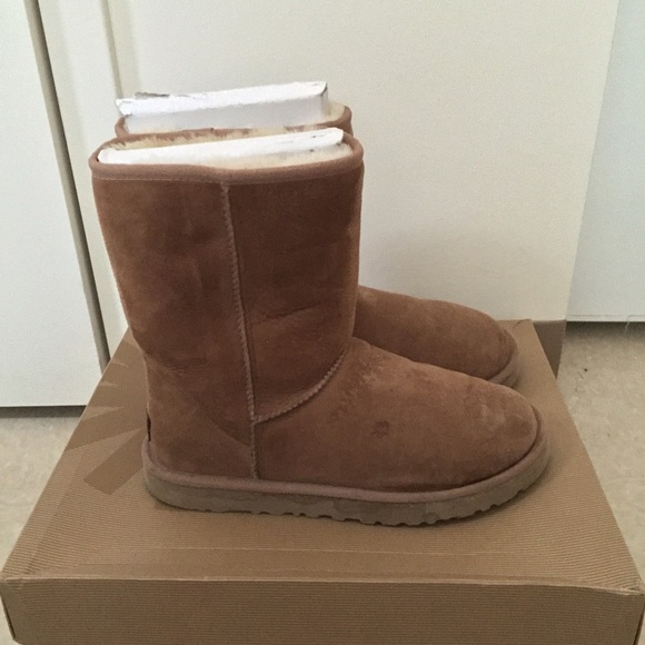 Men original chestnut Uggs
