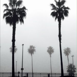 Meet your Posher, Jasmin