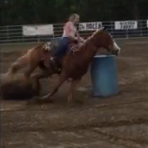 Meet your Posher, Harley