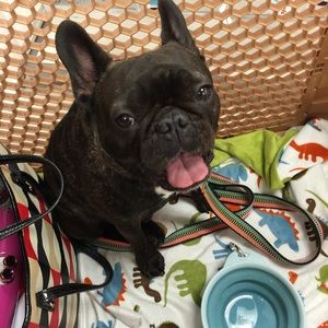 Meet your Posher, Kimberly