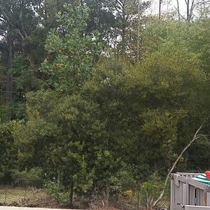 Meet your Posher, Mendy