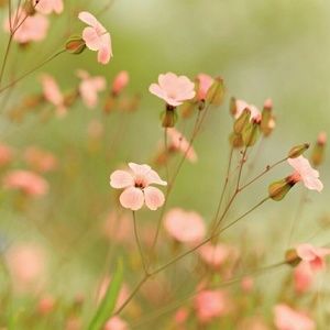 Meet your Posher, Terry