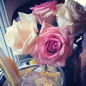 Meet your Posher, Bekka