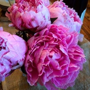 Meet your Posher, Parrish